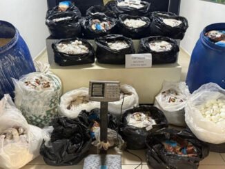 Mersin’de 3 Milyon 542 Bin Adet Uyuşturucu Hap Ele Geçirildi - YelkenHaber