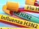 H3N2 Virüsü: Erken Teşhis, Etkili Korunma ve Güncel Tedavi Stratejileri - YelkenHaber